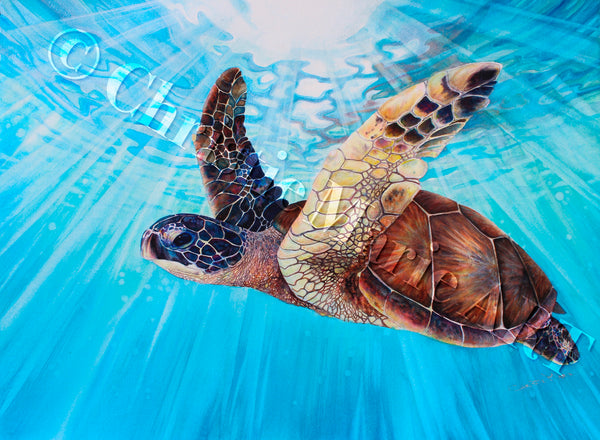 hawaiian sea turtles art